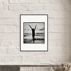 Circle of Life Framed print 13x18 cm / 5x7″ White frame 2