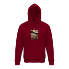 Compassion - "Cosmic Reflections" Hoodie Burgundy XS 1