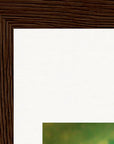 Emerald Storms Framed print 13x18 cm / 5x7″ Dark wood frame corner detail