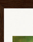 Emerald Storms Framed print 15x20 cm / 6x8″ Dark wood frame corner detail