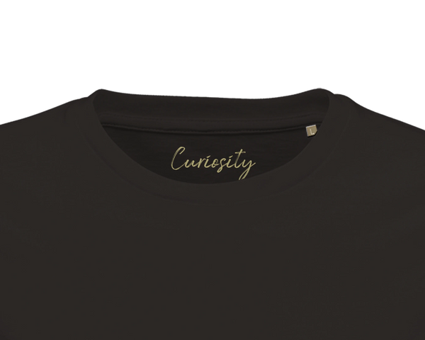 Curiosity - "On the Road"