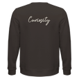 Curiosity - "On the Road" Sweatshirt deep charcoal grey 2