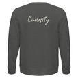 Curiosity - "On the Road" Sweatshirt Grey Melange 2