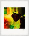 In the Eye Framed print 40x50 cm / 16x20″ White frame 10