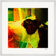 In the Eye Framed print 50x50 cm / 20x20″ White frame 12