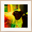 In the Eye Framed print 70x70 cm / 28x28″ Wood frame 23