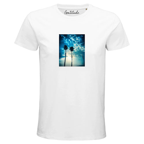 Gratitude - "Bubbles and Sky Sticks"