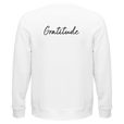 Gratitude - "Bubbles and Sky Sticks" Sweatshirt White 2