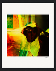 In the Eye Framed print 20x25 cm / 8x10″ Black frame 33