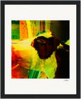 In the Eye Framed print 20x25 cm / 8x10″ Black frame 33