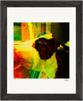 In the Eye Framed print 20x25 cm / 8x10″ Black frame 24