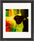 In the Eye Framed print 20x25 cm / 8x10″ Black frame 24