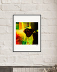 In the Eye Framed print 20x25 cm / 8x10″ White frame 2