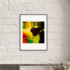 In the Eye Framed print 20x25 cm / 8x10″ White frame 2