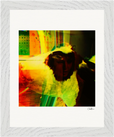 In the Eye Framed print 20x25 cm / 8x10″ White frame 7