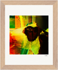 In the Eye Framed print 20x25 cm / 8x10″ Wood frame 15