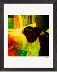 In the Eye Framed print 27x35 cm / 11x14″ Black frame 25