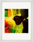 In the Eye Framed print 27x35 cm / 11x14″ White frame 6