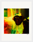 In the Eye Framed print 27x35 cm / 11x14″ White frame 7