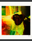 In the Eye Framed print 30x30 cm / 12x12″ Black frame 35