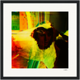 In the Eye Framed print 30x30 cm / 12x12″ Black frame 35