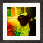 In the Eye Framed print 30x30 cm / 12x12″ Black frame 26