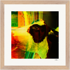 In the Eye Framed print 30x30 cm / 12x12″ Wood frame 17