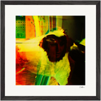 In the Eye Framed print 40x40 cm / 16x16″ Black frame 27