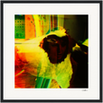 In the Eye Framed print 40x40 cm / 16x16″ Black frame 36