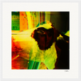 In the Eye Framed print 40x40 cm / 16x16″ White frame 9