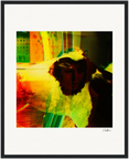 In the Eye Framed print 40x50 cm / 16x20″ Black frame 37