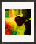 In the Eye Framed print 40x50 cm / 16x20″ Black frame 28