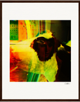 In the Eye Framed print 40x50 cm / 16x20″ Dark wood frame 28