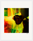 In the Eye Framed print 40x50 cm / 16x20″ White frame 10