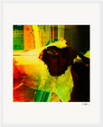 In the Eye Framed print 40x50 cm / 16x20″ White frame 10