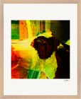 In the Eye Framed print 40x50 cm / 16x20″ Wood frame 19
