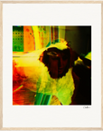 In the Eye Framed print 40x50 cm / 16x20″ Wood frame 19