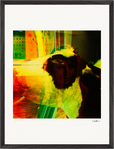 In the Eye Framed print 45x60 cm / 18x24″ Black frame 29