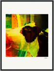 In the Eye Framed print 45x60 cm / 18x24″ Black frame 38
