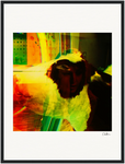 In the Eye Framed print 45x60 cm / 18x24″ Black frame 38