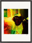 In the Eye Framed print 45x60 cm / 18x24″ Black frame 29