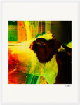In the Eye Framed print 45x60 cm / 18x24″ White frame 11