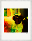 In the Eye Framed print 45x60 cm / 18x24″ White frame 11