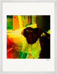In the Eye Framed print 45x60 cm / 18x24″ White frame 11