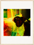In the Eye Framed print 45x60 cm / 18x24″ Wood frame 20