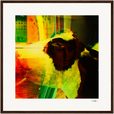 In the Eye Framed print 50x50 cm / 20x20″ Dark wood frame 30