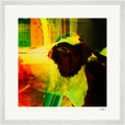 In the Eye Framed print 50x50 cm / 20x20″ White frame 12