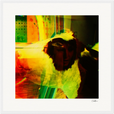 In the Eye Framed print 50x50 cm / 20x20″ White frame 12
