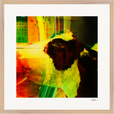 In the Eye Framed print 50x50 cm / 20x20″ Wood frame 21