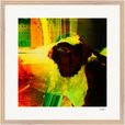 In the Eye Framed print 50x50 cm / 20x20″ Wood frame 21